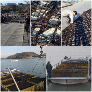 광덕농자재.조영진님의 작성글 사진