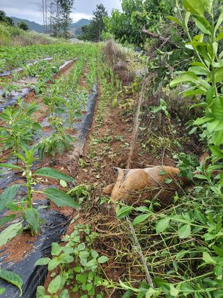광덕농자재.조영진님의 작성글 사진