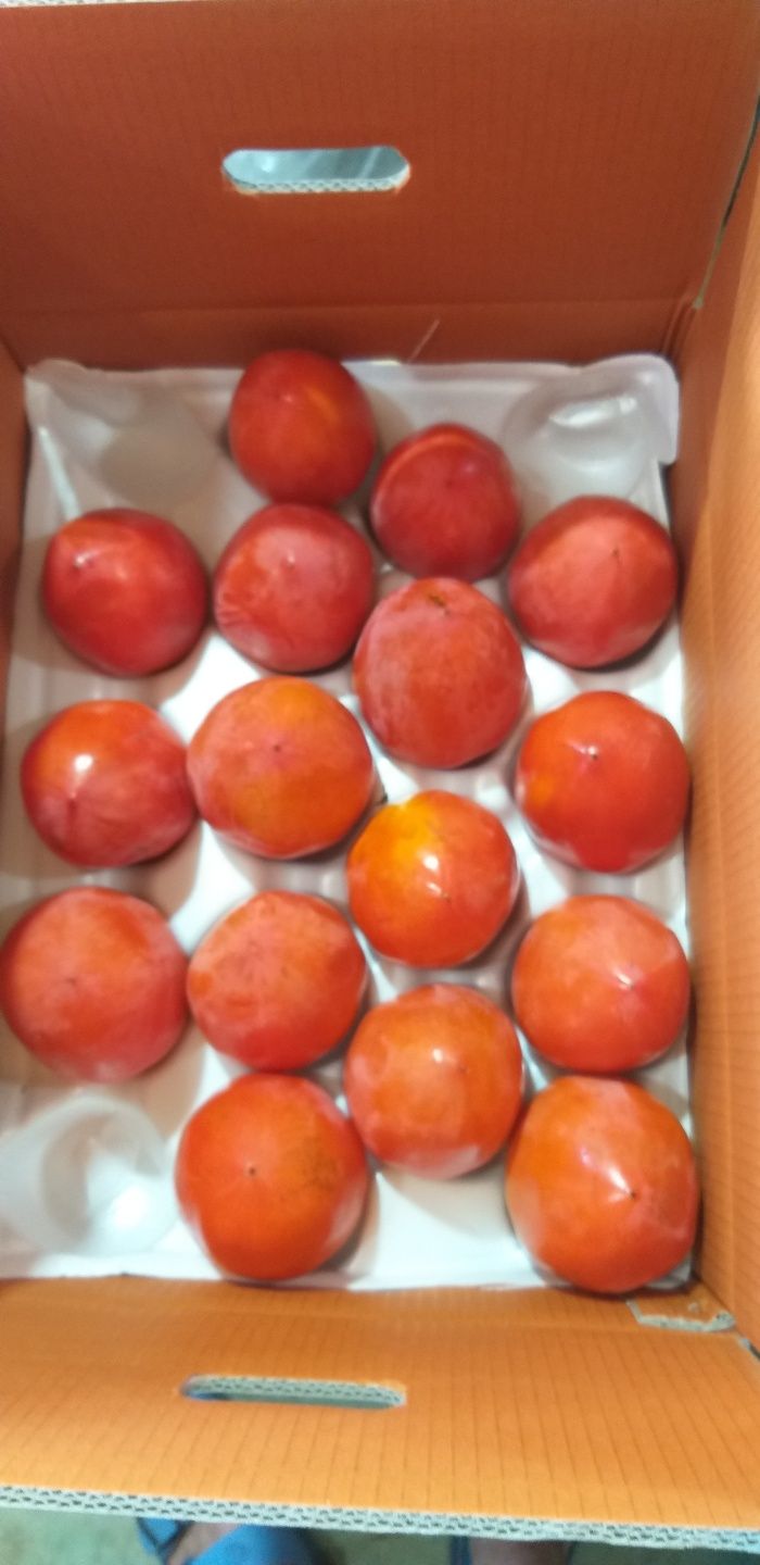 모야아빠님의 장터 판매 상품 [대봉감 5만원 10kg] 첨부 사진