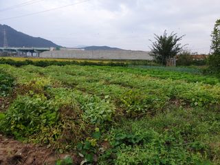 줄주 혁님의 팜모닝 · 출석 작성글 사진