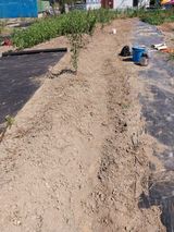 팜모닝 팜모닝·출석 게시글 이미지