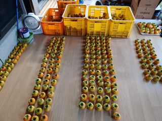 천승준님의 팜모닝 · 출석 작성글 사진