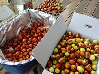 천승준님의 팜모닝 · 출석 작성글 사진