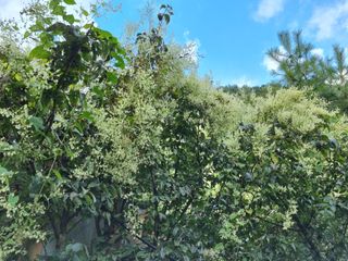 정금석님의 팜모닝 · 출석 작성글 사진