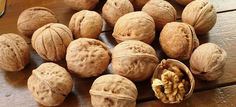 장터 상품 [국산호두 1kg  25,000원] 썸네일