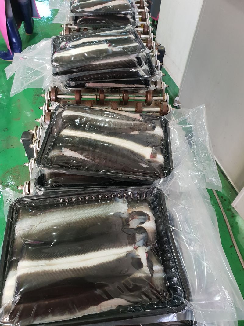 오빠는 멋짐~^^님의 장터 판매 상품 [민물장어(왕1kg-2마리.왕대-2키로3마리기준으로/왕.왕대선택~^^) 손질후 순살 약800g정도(+-50g)] 첨부 사진