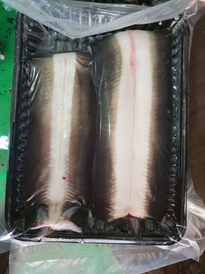 오빠는 멋짐~^^님의 장터 판매 상품 [민물장어(왕1kg-2마리.왕대-2키로3마리기준으로/왕.왕대선택~^^) 손질후 순살 약800g정도(+-50g)] 첨부 사진