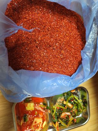 윤지현님의 팜모닝 · 출석 작성글 사진