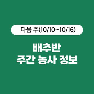 ๋ฐฐ์ถ ๋์ฌ๋์ฐ๋ฏธ๋์ ๋ฐฐ์ถ ยท ๋น๋ฃโข๋์ฝ ์์ฑ๊ธ ์ฌ์ง