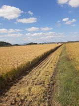 팜모닝 팜모닝·출석 게시글 이미지