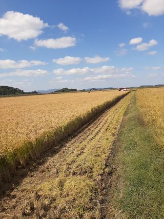 땅끝해남님의 팜모닝 · 출석 작성글 사진