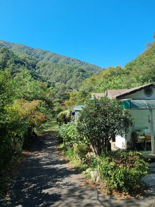 정금석님의 벼 · 자유게시판 작성글 사진