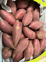 팜모닝 사과·일상 게시글 이미지