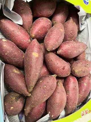 알 수 없음님의 사과 · 일상 작성글 사진