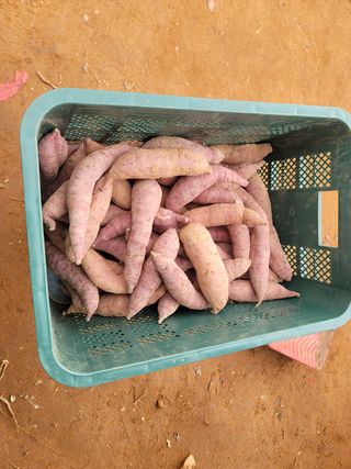 조성인님의 작성글 사진