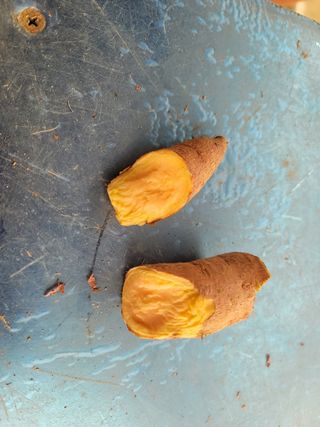 조성인님의 작성글 사진