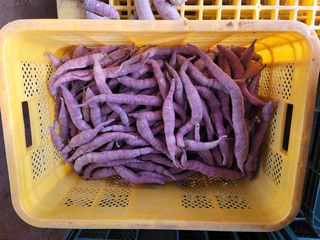 조성인님의 작성글 사진