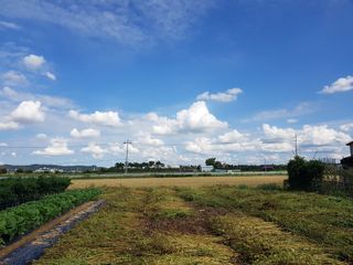 정진해님의 양배추 · 자유게시판 작성글 사진