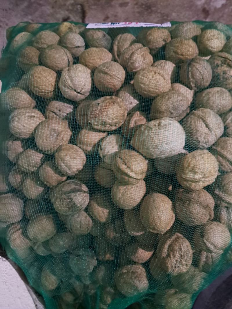 장터 상품 [햇호두 1kg  25,000원] 썸네일