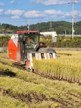 팜모닝 감자·자유게시판 게시글 이미지