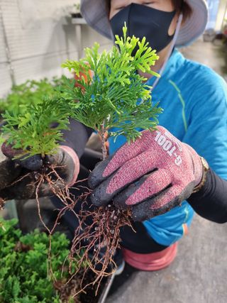 행복한나무농장님의 작성글 사진