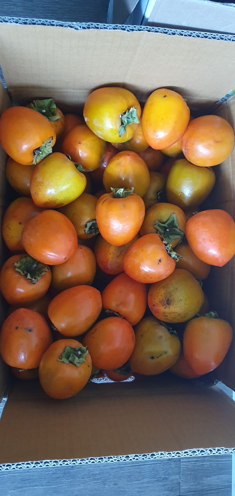 땅을 그리는자님의 장터 판매 상품 [선산 대봉감 41,000원/10kg] 첨부 사진