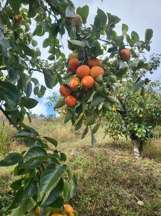 우설강(희택)님의 작성글 사진