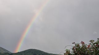 조성대님의 참깨 · 자유게시판 작성글 사진