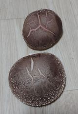 팜모닝 파·자유게시판 게시글 이미지