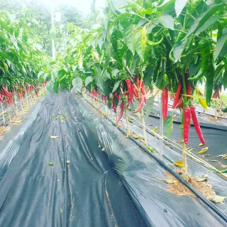 김준회님의 작성글 사진