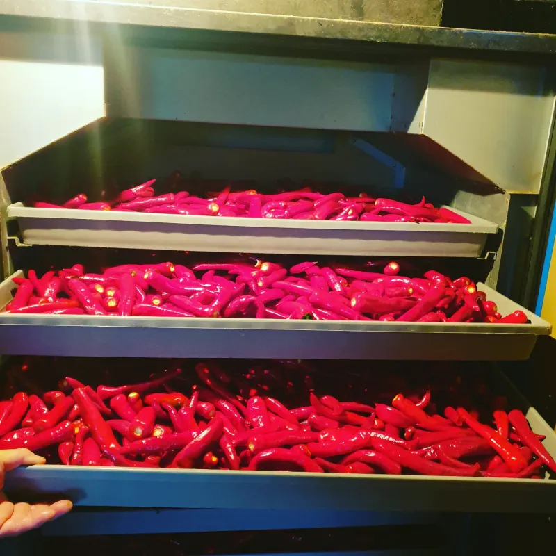 김준회님의 장터 판매 상품 [2022년 햇 고춧가루 16000원 5근(80000원) 10근(150000원)] 첨부 사진