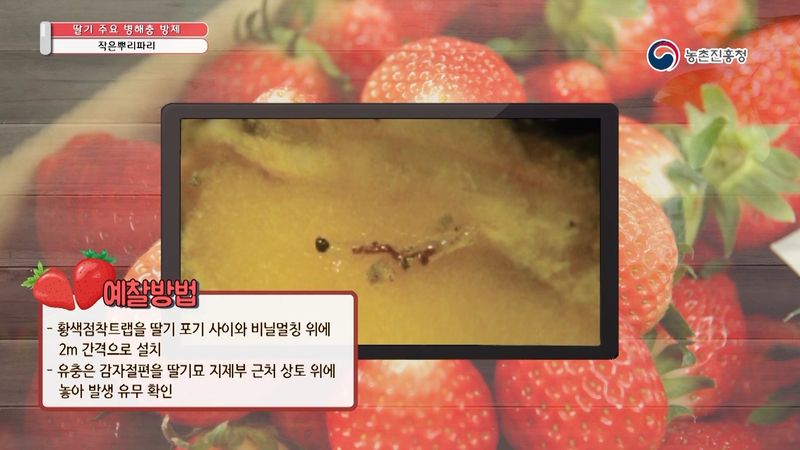 알 수 없음님의 농사정보 썸네일