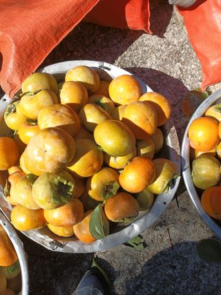 노상천님의 작성글 사진