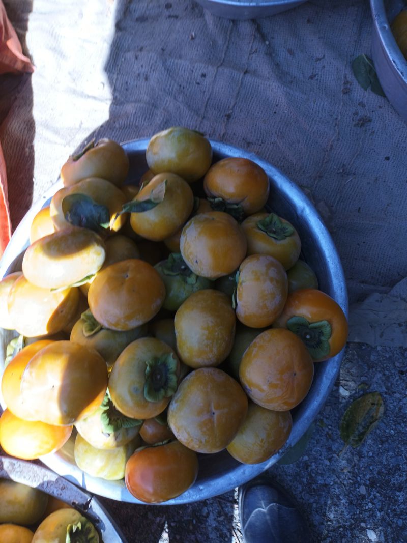 노상천님의 장터 판매 상품 [농경주 판매자:노상천                                부유단감 ] 첨부 사진