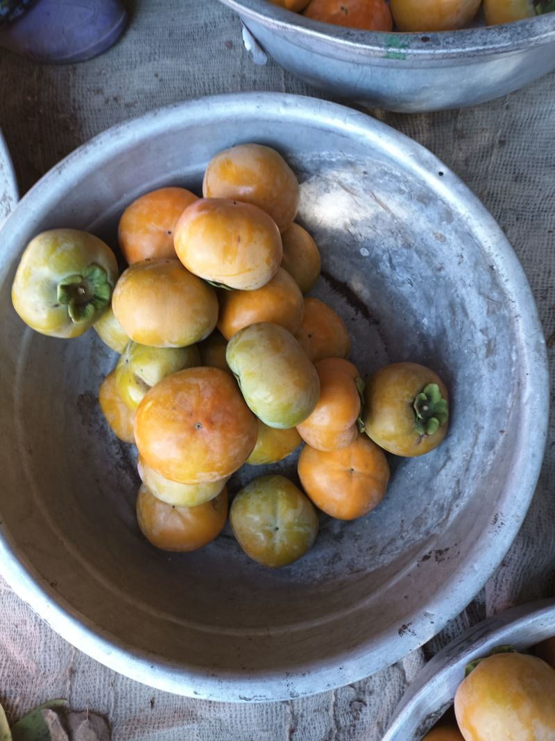 노상천님의 장터 판매 상품 [농경주 판매자:노상천                                부유단감 ] 첨부 사진