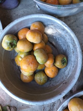 노상천님의 작성글 사진