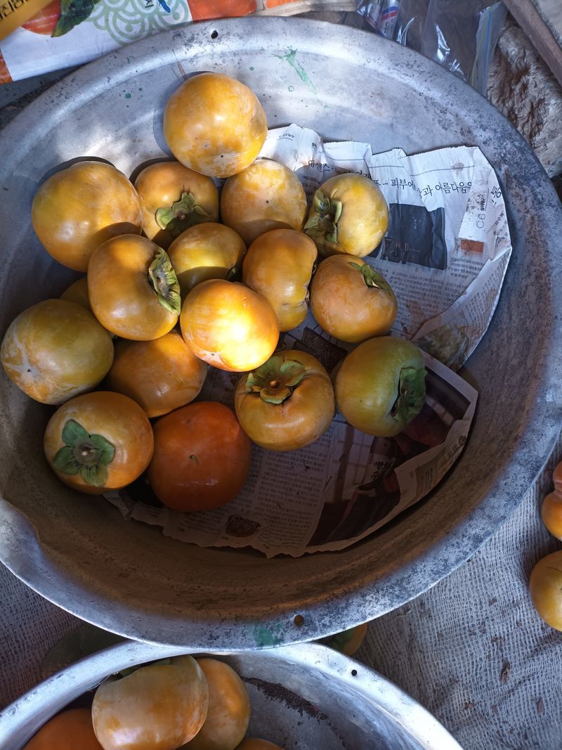 노상천님의 장터 판매 상품 [농경주 판매자:노상천                                부유단감 ] 첨부 사진