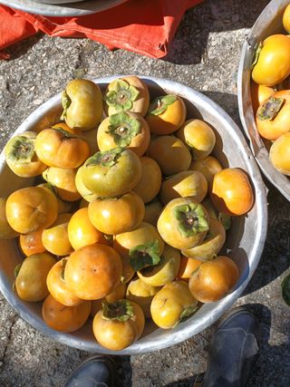 노상천님의 작성글 사진