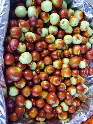 천승준님의 매실 · 자유게시판 작성글 사진