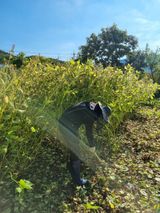 팜모닝 호박·자유게시판 게시글 이미지