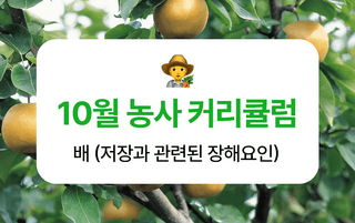 ๋ฐฐ ๋์ฌ๋์ฐ๋ฏธ๋์ ๋ฐฐ ยท ์ํ ์์ฑ๊ธ ์ฌ์ง