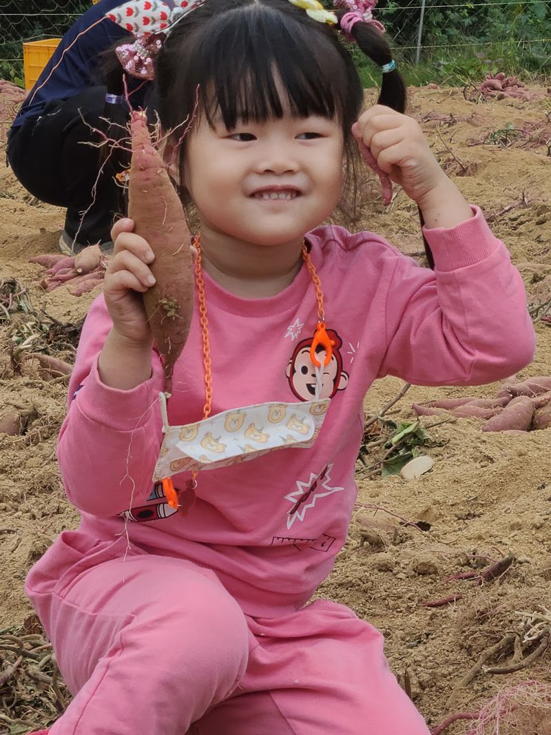 장터 상품 [호박고구마, 꿀고구마 ] 썸네일