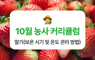 딸기 농사도우미님의 딸기 · 온도 관리 작성글 사진