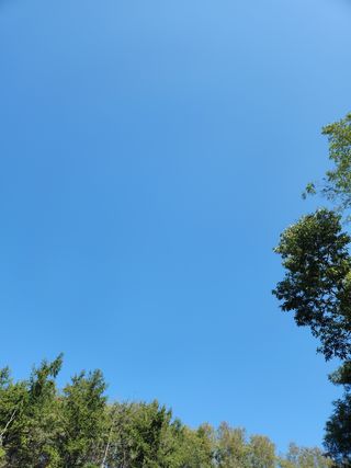 오해은님의 양배추 · 자유게시판 작성글 사진