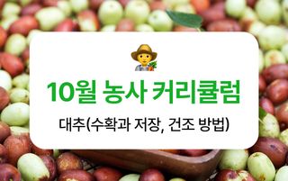 팜모닝 농사도우미님의 기타작물 · 농사길잡이 작성글 사진