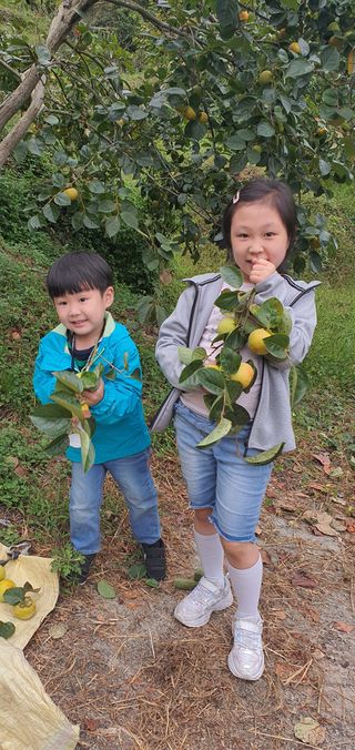 김진영님의 작성글 사진