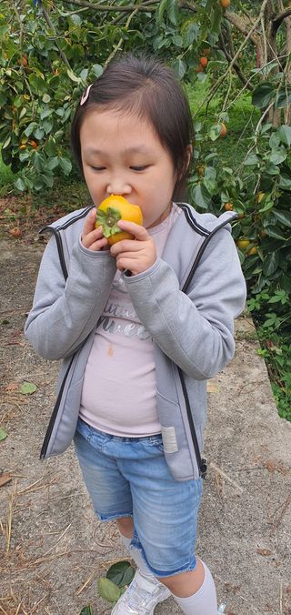 김진영님의 작성글 사진