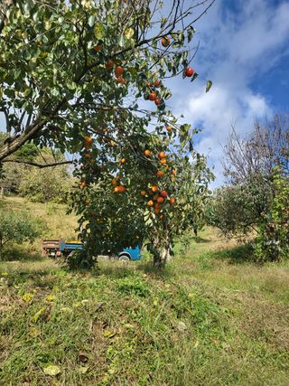 우설강(희택)님의 작성글 사진