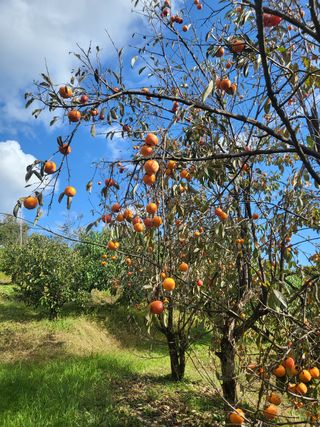 우설강(희택)님의 작성글 사진