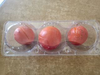 우설강(희택)님의 작성글 사진